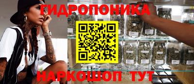 PSILOCYBIN Абакан