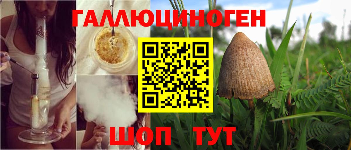 Галлюциногенные грибы Magic Shrooms Абакан