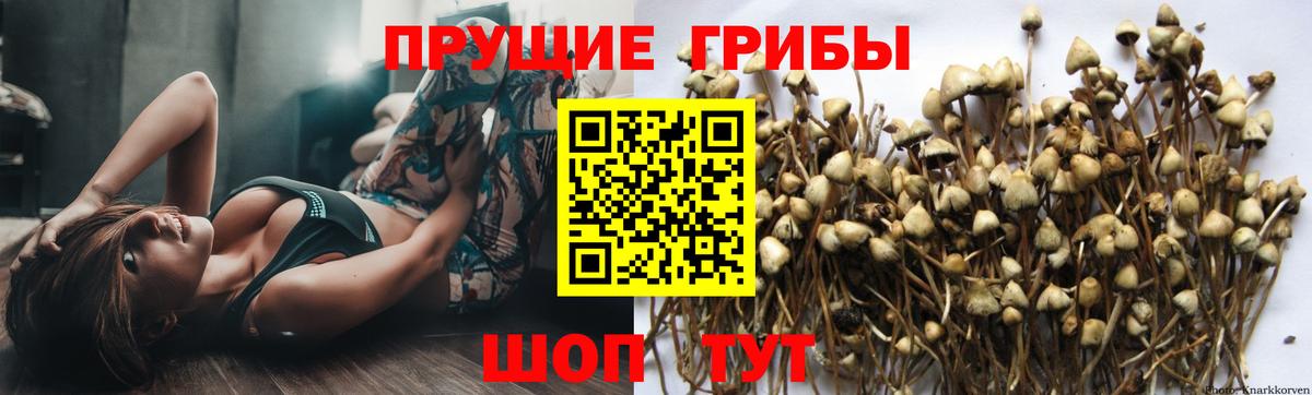 Абакан  А ПВП СК   МАРИХУАНА  Вход с VPN  ТГК  Гашиш  COCAIN  Меф   Меф МЯУ МЯУ 